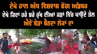 ਦੇਖੋ ਹਾਲ ਅੰਧ ਵਿਸ਼ਵਾਸ ਢੋਂਗ ਅੱਡਬਰ ਕਿਦਾ ਹਰੇ ਭਰੇ ਰੁੱਖ ਦੀਆਂ ਜੜਾਂ ਵਿੱਚ ਪਾਉਂਦੇ ਤੇਲ ਐਵੇਂ ਬੇੜਾ ਬੈਠਦਾ ਲੋਕਾਂ ਦਾ video