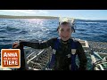 Mit Dem Hai Unter Wasser Reportage Für Kinder Anna Und Die Wilden Tiere