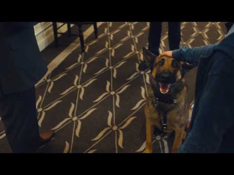 Max 2: El héroe de la Casa Blanca