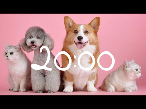 20 Minute Timer Cats and Dogs