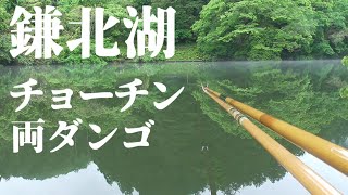 鎌北湖で長竿が出せるポイントでチョーチン両ダンゴで高活性すぎて爆釣！【へらぶな釣り】