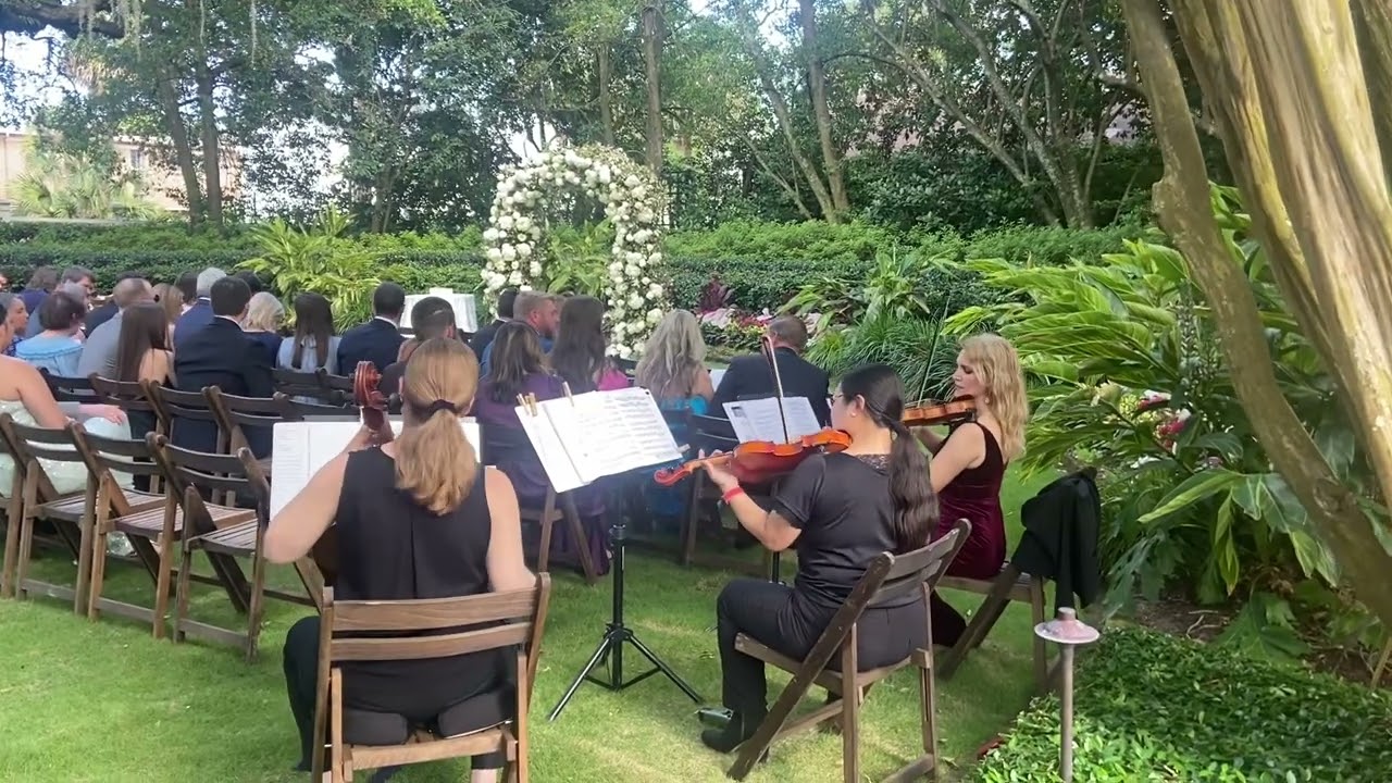Promotional video thumbnail 4 for Charleston Elite Musicians