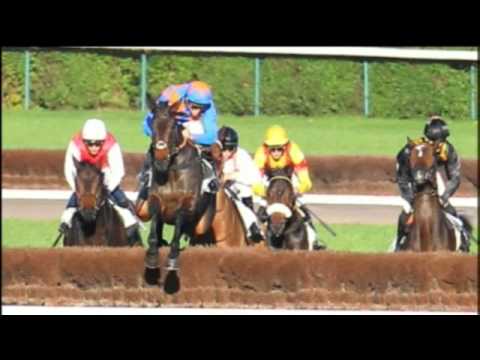 Trophées Arqana Graduates / France Sire OK