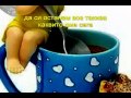 ДОБРО УТРО, ПРИЯТЕЛИ.flv 