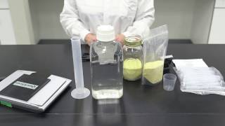 Rapid GMO Testing Corn Rapid GMO Testing Corn