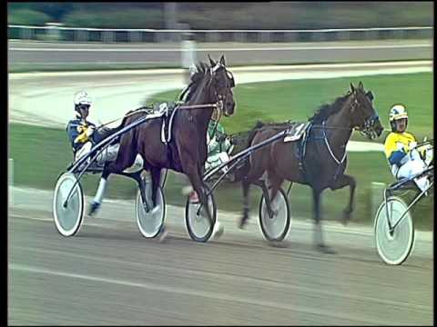 Trotto 01/04/2016 - 2° Corsa