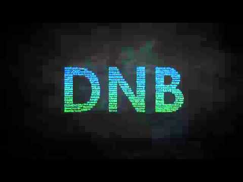 Bingo Players & Dragonette - Crazy Animale ( VanKriss priv booty )