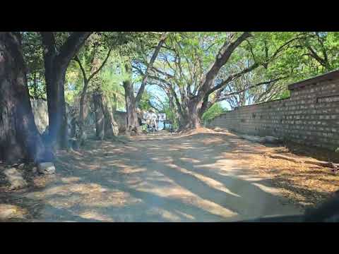 The road to kiriwitu Beach, Vipingo