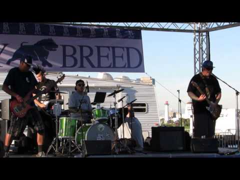 Natural Heights "Date Rape" Sublime Cover