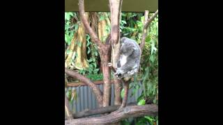 IMG 15801