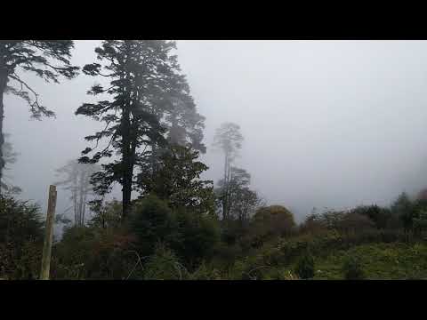 Bhutan dochula pass ( October)