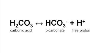 Water Chemistry Part 5:  Buffers and pH