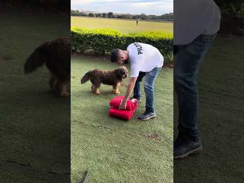 O que te impede de realizar seu sonho?