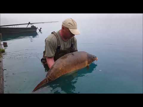 The Graviers Dijon 2019 #bigcarp #monstercarp #carp #recordcarp