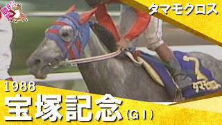 【長距離王とマイル王が激突】1988年宝塚記念 (ＧⅠ) タマモクロス【カンテレ公式】