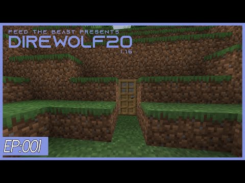 Direwolf20 1.16.4 lets play Episode 1-New Home |Modded Minecraft 1.16.4|