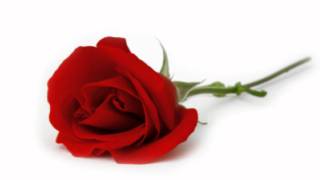 sam hook - can't lie ( BEAUTIFUL SONG ! )