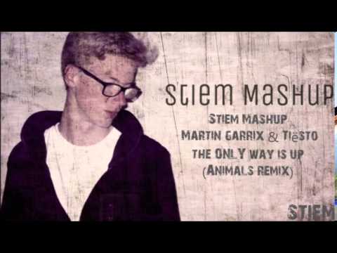 Martin garrix & Tiësto-The Only Way is up (Animals-Remix)StiemMashup