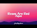 Aqua Roses Are Red Lyrics