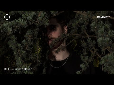 MNMT 301 : Simone Bauer