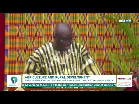 Agriculture Minister Criticises Low Budget Allocation to Farming Across Africa