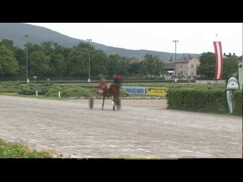 Traiskirchner Renntag in Baden