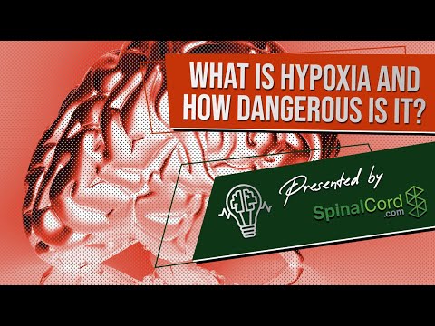 Hypoxia: Definition, Causes, Symptoms and Treatment. (What is hypoxia and how dangerous is it?)