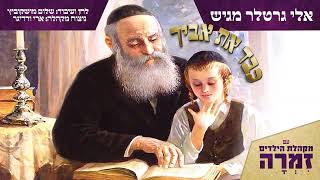 Zimra Boys Choir - Kabed Es Avicha | פרחי זמרה - כבד את אביך