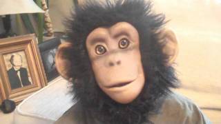 RE: Megaupload Mega Song HD