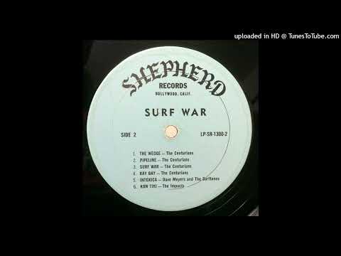 dave meyers and the surftones - intoxica