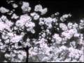 Tears Run Rings - Forgotten 