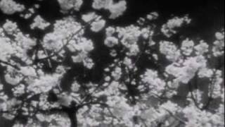 Tears Run Rings - Forgotten - Official Video