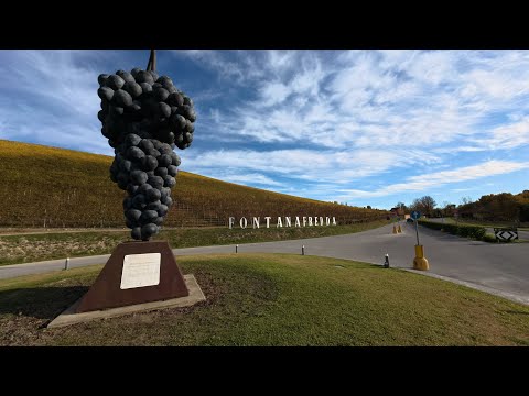 FONTANAFREDDA - FOLIAGERIA 3/11/2025