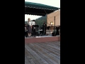 Blue Suede Shoes- Larkspur Jazz on the Lake 