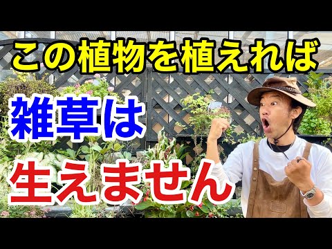 春になったら除草剤を撒いたほうがいいでしょうか?すべきこととしてはいけないこと  庭園