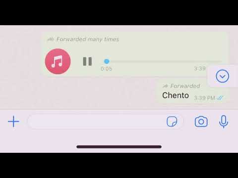 Chento X elverich  Tata manda lus🧏‍♂️