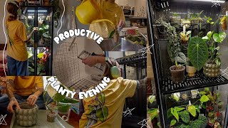 ikea greenhouse cabinet reset | cozy hangout while i deep clean and do plant care 🪴🫧🧼☕️