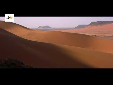 La Función de la Música en el Cine