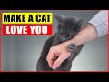 10 Scientific Ways to Get a Cat to Like You