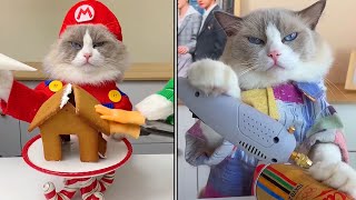Download lagu Funny Animals Videos 2022 - Cute Animals Video #57 mp3