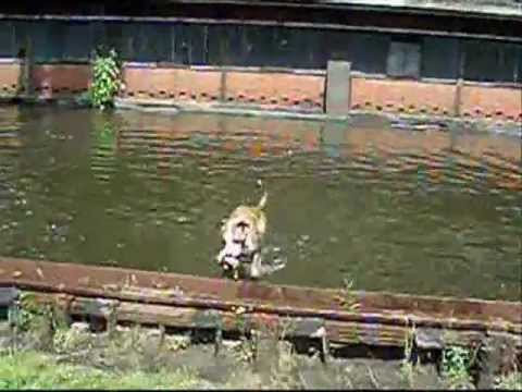 Lullaby Of Spring  (Cover)