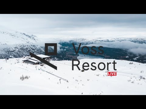 Voss LIVE
