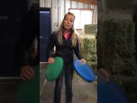 YouTube video about: How to strengthen weak pasterns in horses?