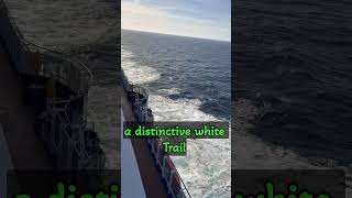 No view beats this #carnivalcruise #carnival #ocean