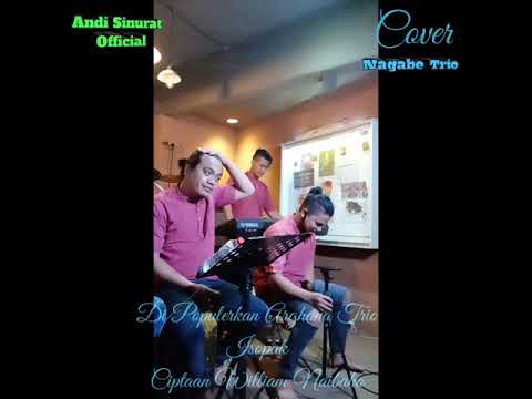 ngeri do bah 😢 lagu batak isopak cover Nagabe Trio