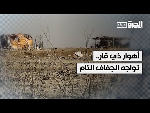 شاهد بالفيديو.. أهوار ذي قار.. تواجه الجفاف التام وسكانها يواجهون ظروفا معيشية صعبة