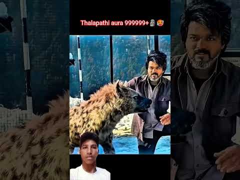 vijay thalapathi Vs hyena #hyena #tamilmovie #movie #leo #movieclips
