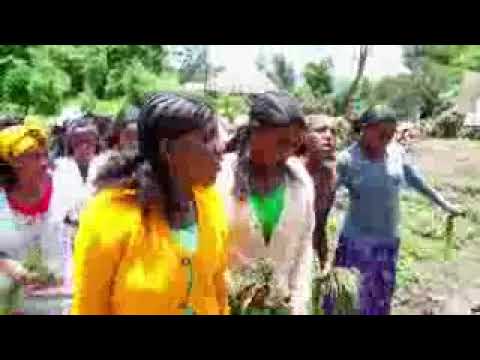 Kumaa Geetaa fiObsee Damissee Ayantuu2017