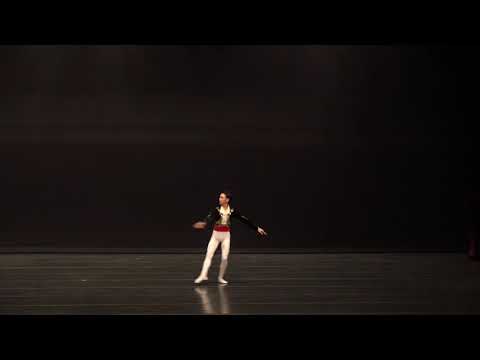 Jun su lee    (15)  Don  Quixote