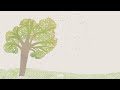 Andrea Vanzo Windy Day Official Visualizer